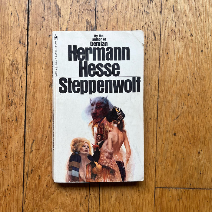 Steppenwolf / Herman Hesse