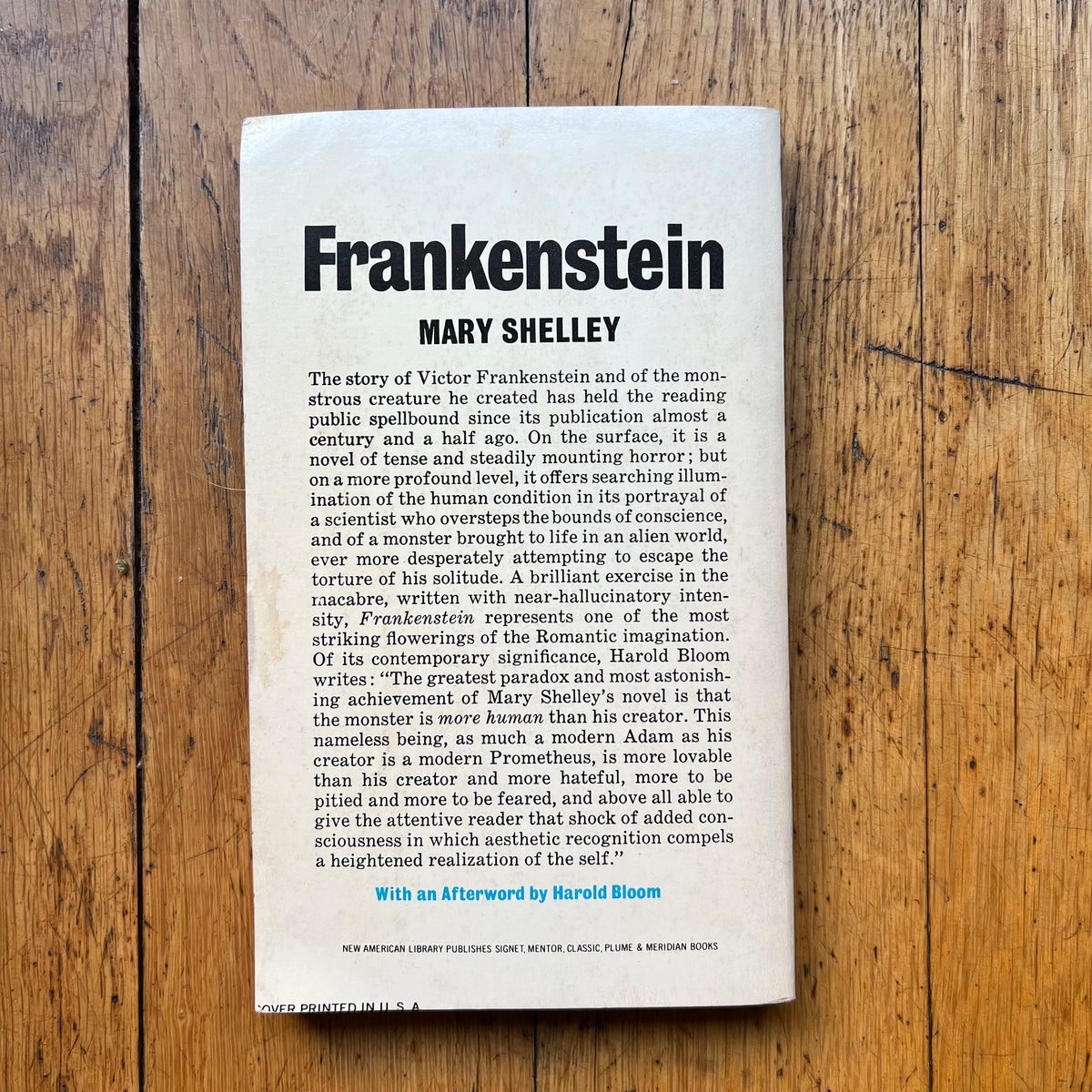 Frankenstein / Mary Shelley